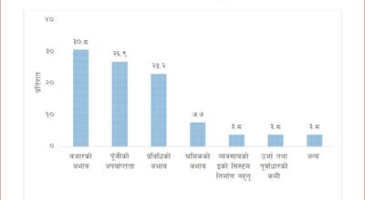 कोशी प्रदेशका ८० प्रतिशत ‘स्टार्टअप’ उद्यम नाफामा